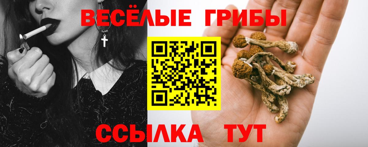 даркнет сайт  Вход с VPN  Стрежевой  Псилоцибиновые грибы мицелий 